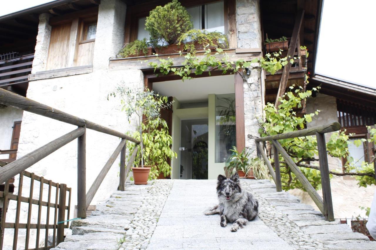 B&B Casa Gori Madice Extérieur photo